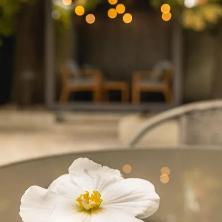 Sileo No.85 ウストカ